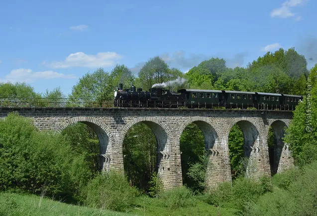 Eisenbahn mit Dampflok fährt über ein Viadukt in bewaldeter grüner Landschaft