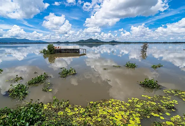 Fluss mit graubraunem Wasser, im Vordergrund Seerosenblätteransammlung, in der Mitte eine Holzbaracke auf Stelzen, am Horizont eine Bergkette, blauer Himmel mit vielen weißen Cumulus-Wolken